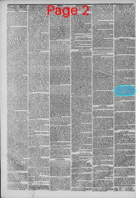Page thumbnail for The New York Herald