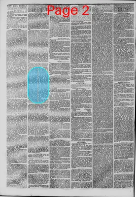 Page thumbnail for The New York Herald