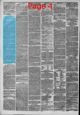 Page thumbnail for The New York Herald