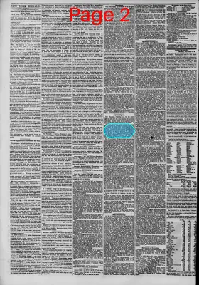 Page thumbnail for The New York Herald