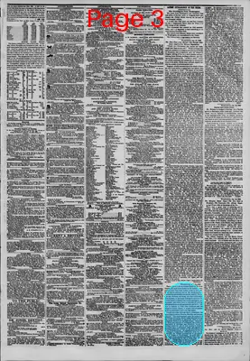 Page thumbnail for The New York Herald