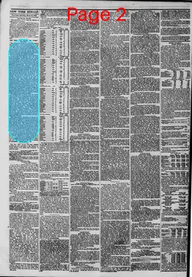 Page thumbnail for The New York Herald
