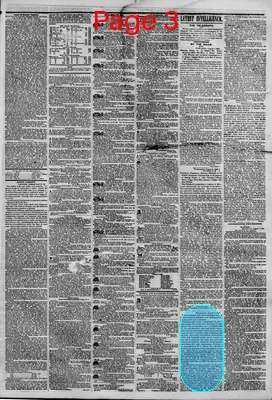 Page thumbnail for The New York Herald