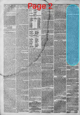 Page thumbnail for The New York Herald
