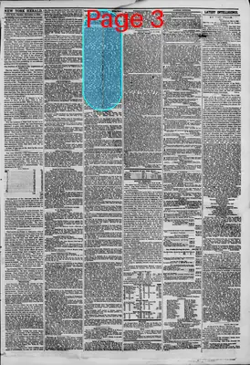 Page thumbnail for The New York Herald