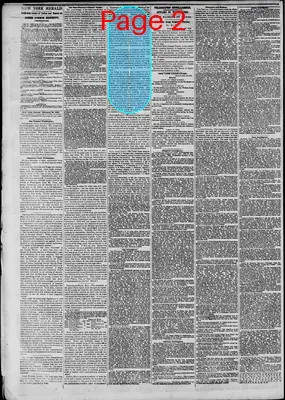 Page thumbnail for The New York Herald