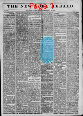 Page thumbnail for The New York Herald