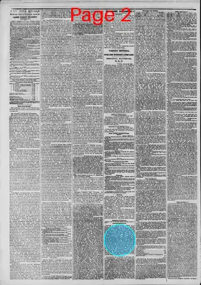 Page thumbnail for The New York Herald