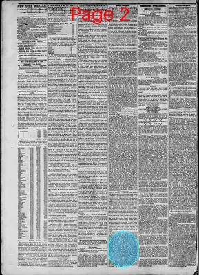 Page thumbnail for The New York Herald