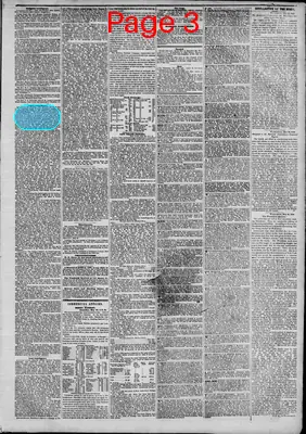 Page thumbnail for The New York Herald