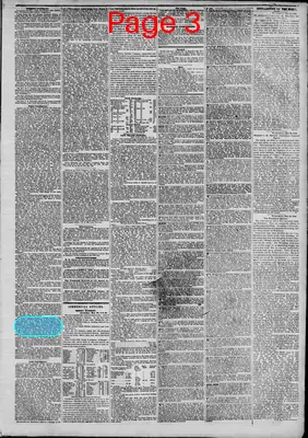 Page thumbnail for The New York Herald