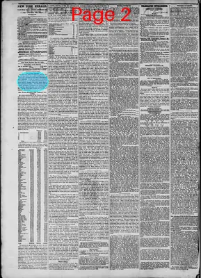 Page thumbnail for The New York Herald