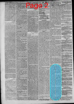 Page thumbnail for The New York Herald