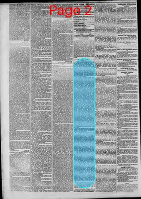 Page thumbnail for The New York Herald