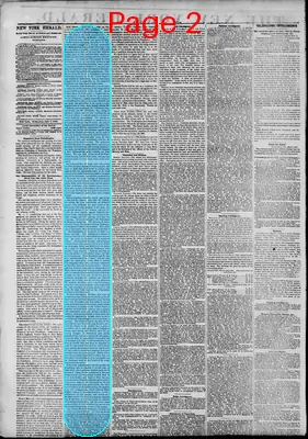 Page thumbnail for The New York Herald