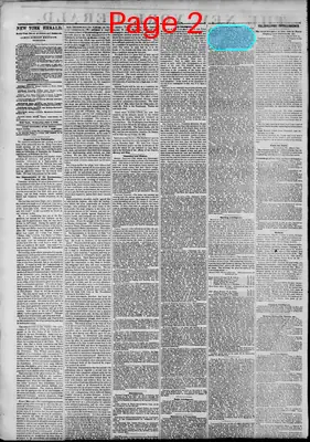 Page thumbnail for The New York Herald