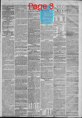 Page thumbnail for The New York Herald