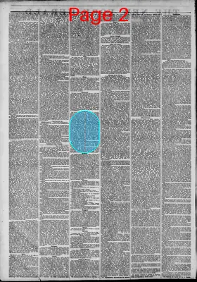 Page thumbnail for The New York Herald
