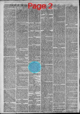 Page thumbnail for The New York Herald