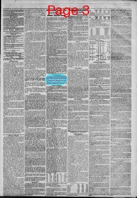 Page thumbnail for The New York Herald