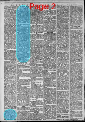 Page thumbnail for The New York Herald