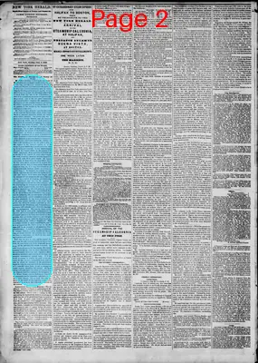 Page thumbnail for The New York Herald