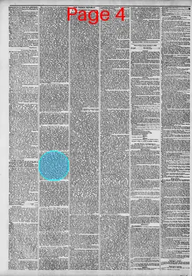 Page thumbnail for The New York Herald