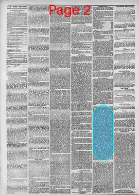 Page thumbnail for The New York Herald