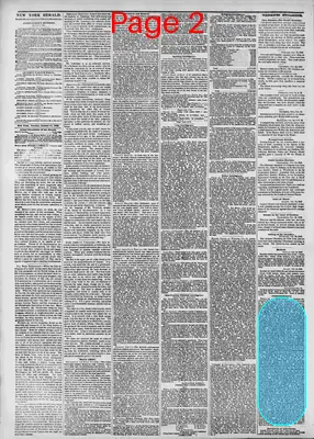 Page thumbnail for The New York Herald