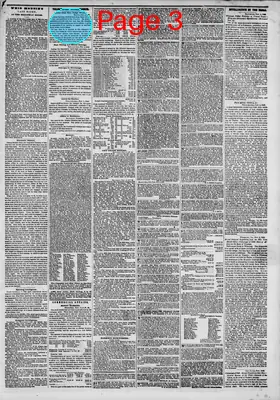 Page thumbnail for The New York Herald