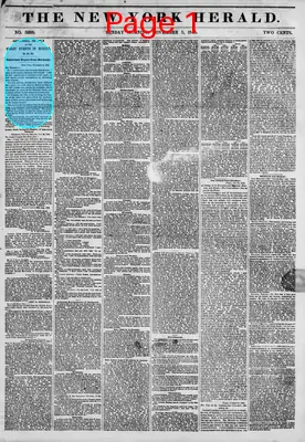 Page thumbnail for The New York Herald