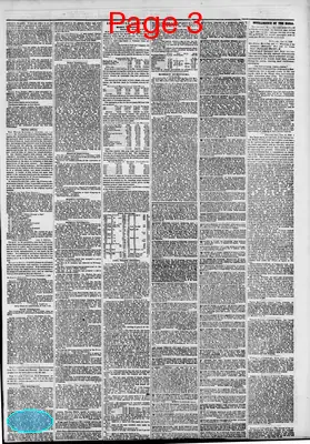 Page thumbnail for The New York Herald