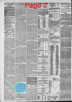 Page thumbnail for The New York Herald