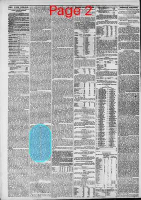 Page thumbnail for The New York Herald