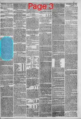 Page thumbnail for The New York Herald