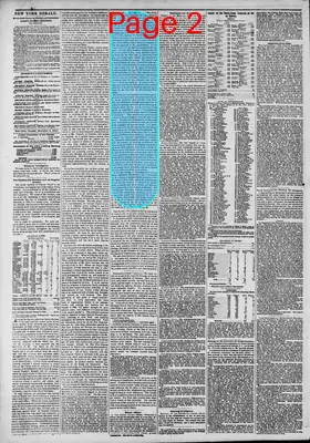 Page thumbnail for The New York Herald