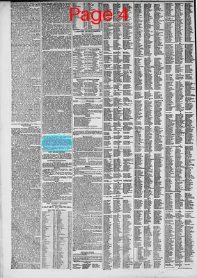Page thumbnail for The New York Herald