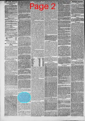 Page thumbnail for The New York Herald