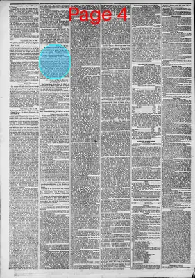 Page thumbnail for The New York Herald