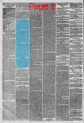 Page thumbnail for The New York Herald