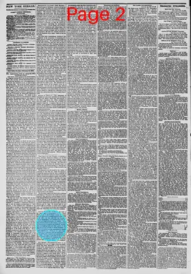 Page thumbnail for The New York Herald