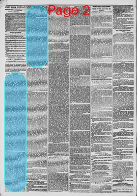 Page thumbnail for The New York Herald