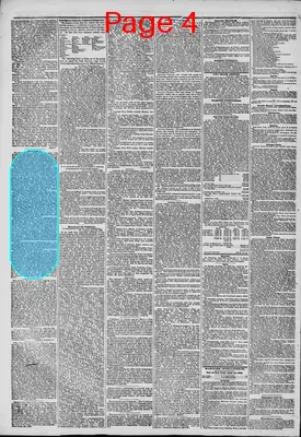 Page thumbnail for The New York Herald