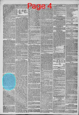Page thumbnail for The New York Herald