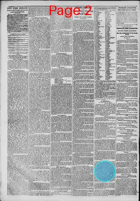 Page thumbnail for The New York Herald