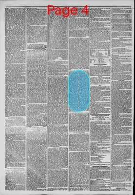 Page thumbnail for The New York Herald