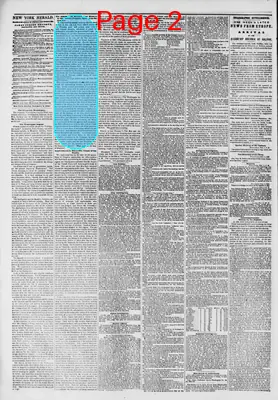 Page thumbnail for The New York Herald