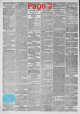 Page thumbnail for The New York Herald