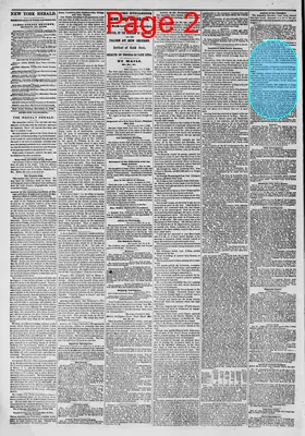 Page thumbnail for The New York Herald