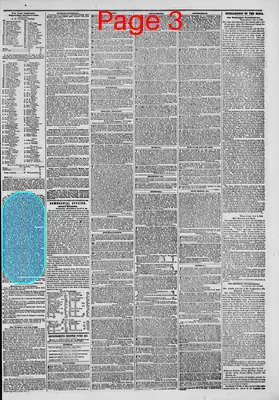 Page thumbnail for The New York Herald